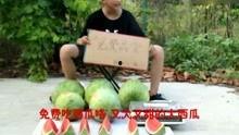 娱乐搞笑吃瓜视频大全,笑料横生！娱乐搞笑吃瓜视频大盘点